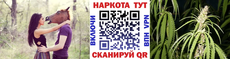 Продажа наркотиков Волосово Амфетамин  Меф мяу мяу  ГАШИШ  Alpha PVP  Марихуана  КОКАИН 
