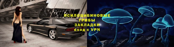мет Белокуриха