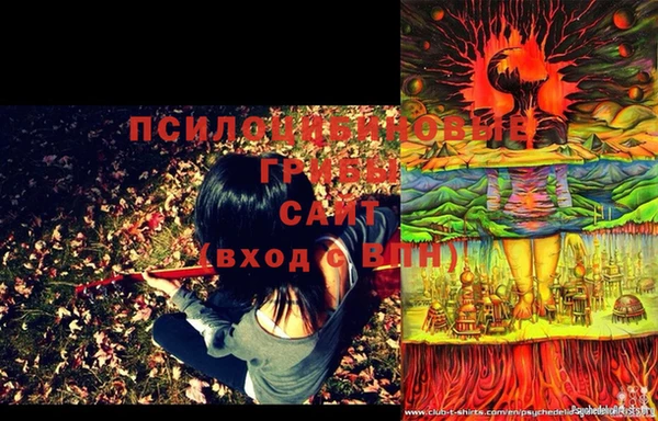 мет Белокуриха