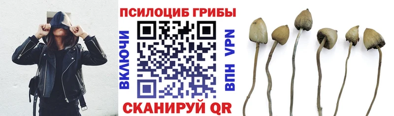 Галлюциногенные грибы MAGIC MUSHROOMS Волосово