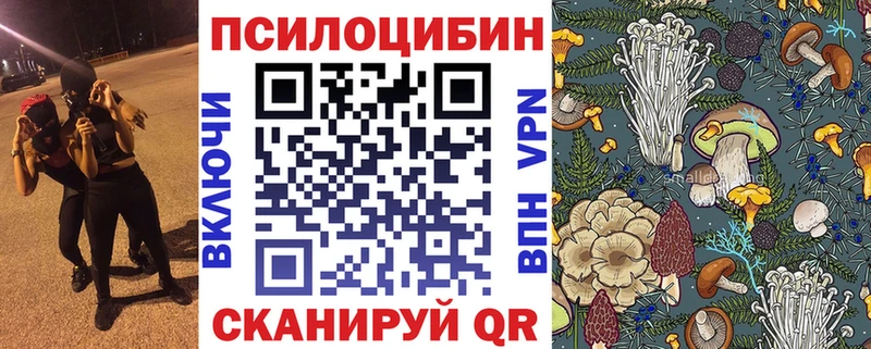 Галлюциногенные грибы Psilocybine cubensis ОМГ ОМГ ONION Волосово закладки